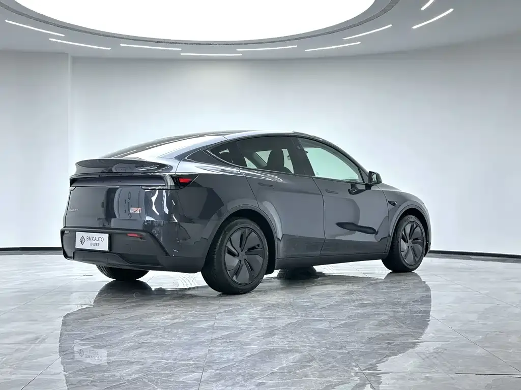 Tesla Model Y — фото 8