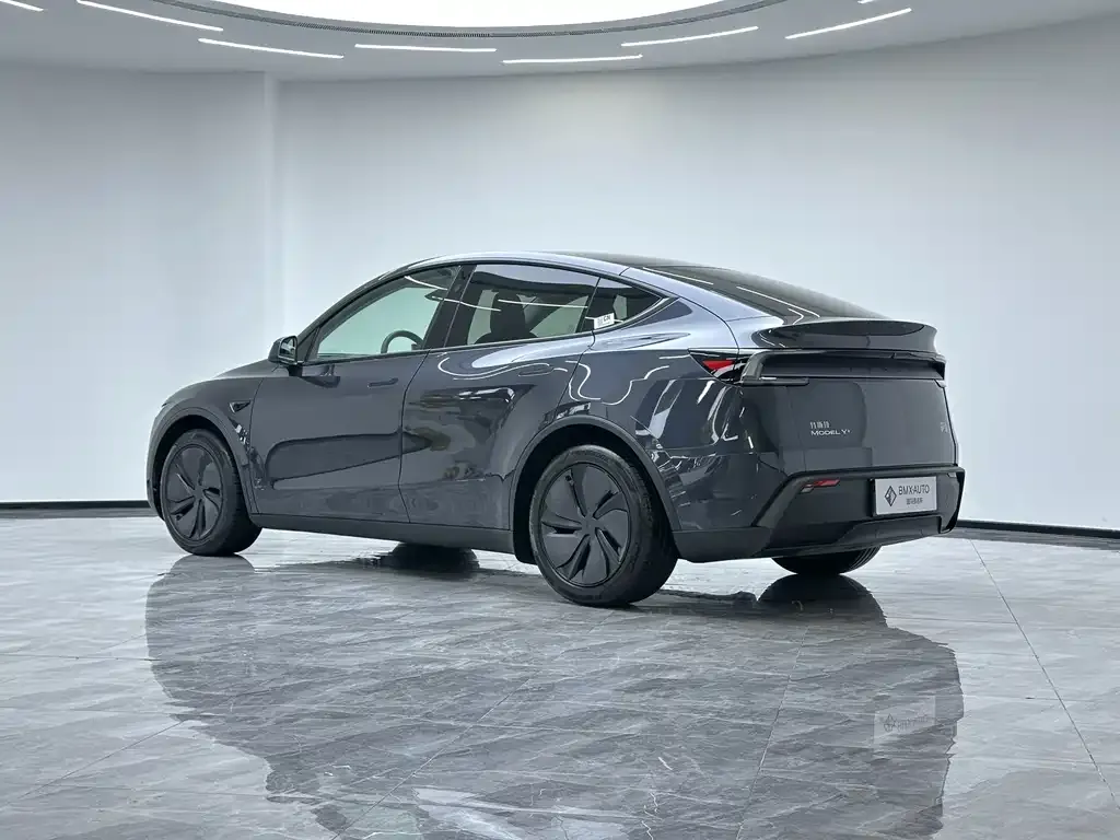 Tesla Model Y — фото 3