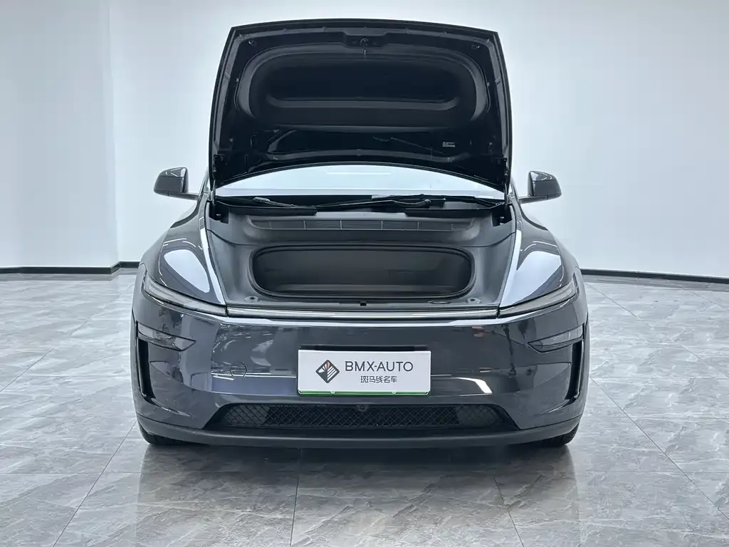 Tesla Model Y — фото 10