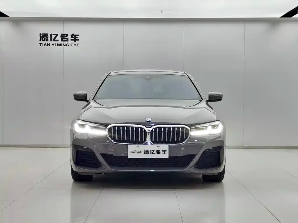 BMW 5 Series (Import) — фото 3