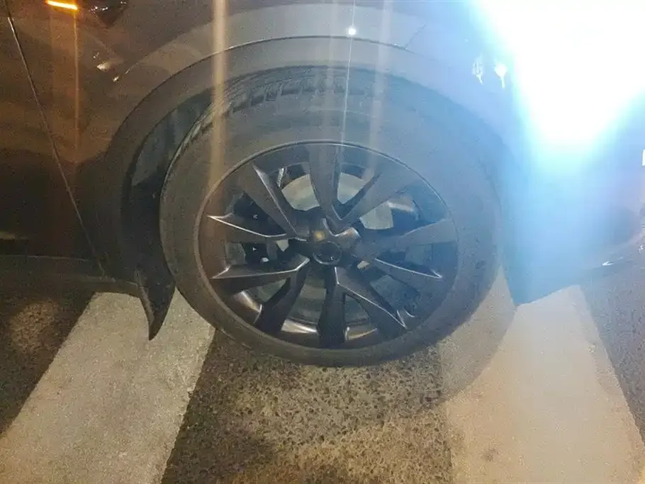 Tesla Model X 2023 из CN, фото 8