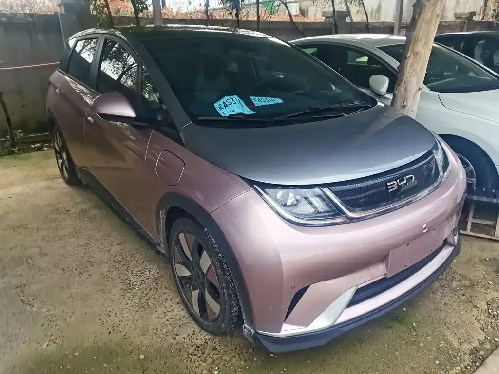 BYD Han 2024 из CN, фото 1