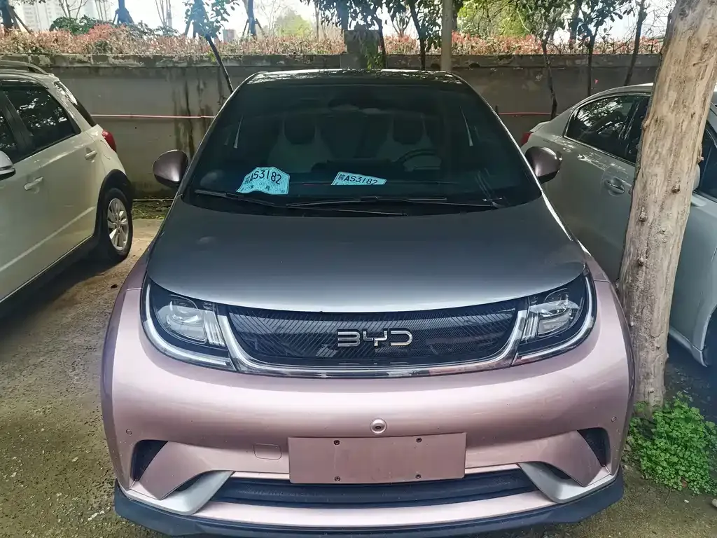 BYD Han 2024 из CN, фото 10