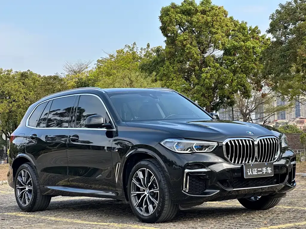 BMW X5 — фото 8