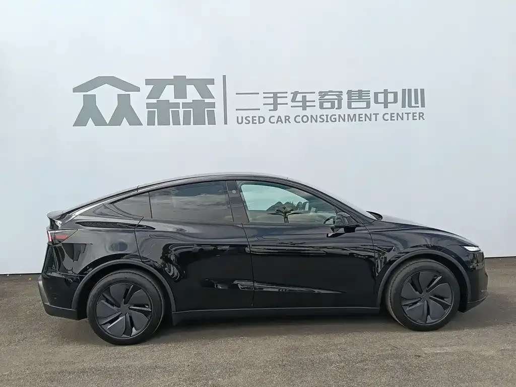 Tesla Model Y — фото 5