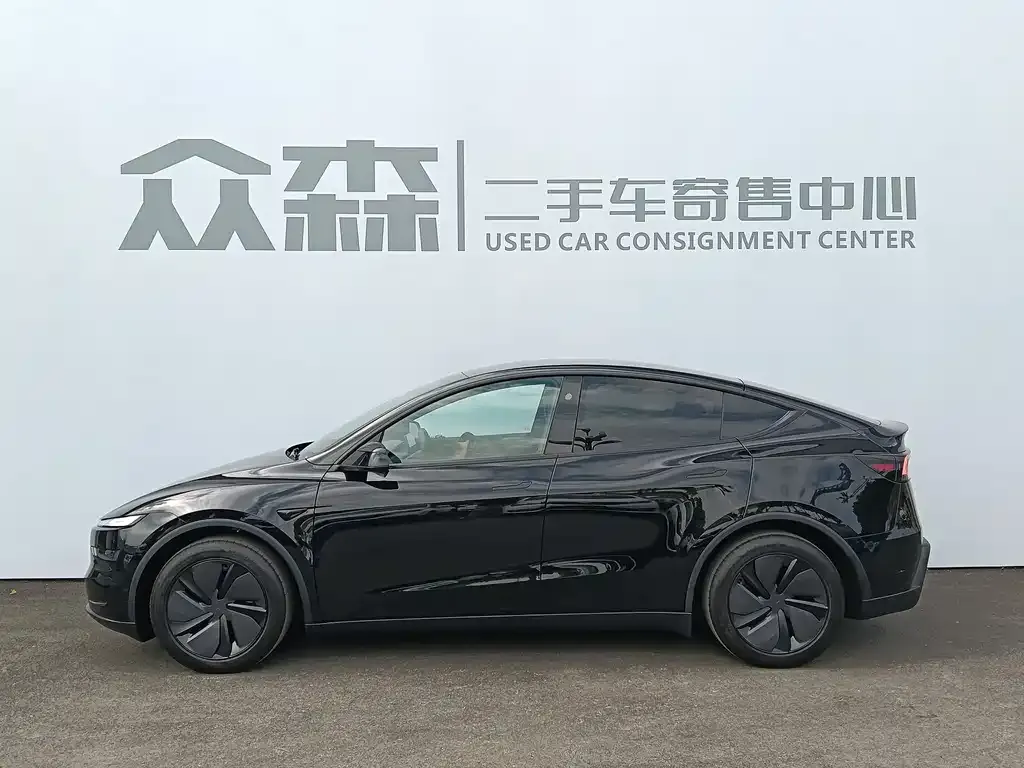 Tesla Model Y — фото 2