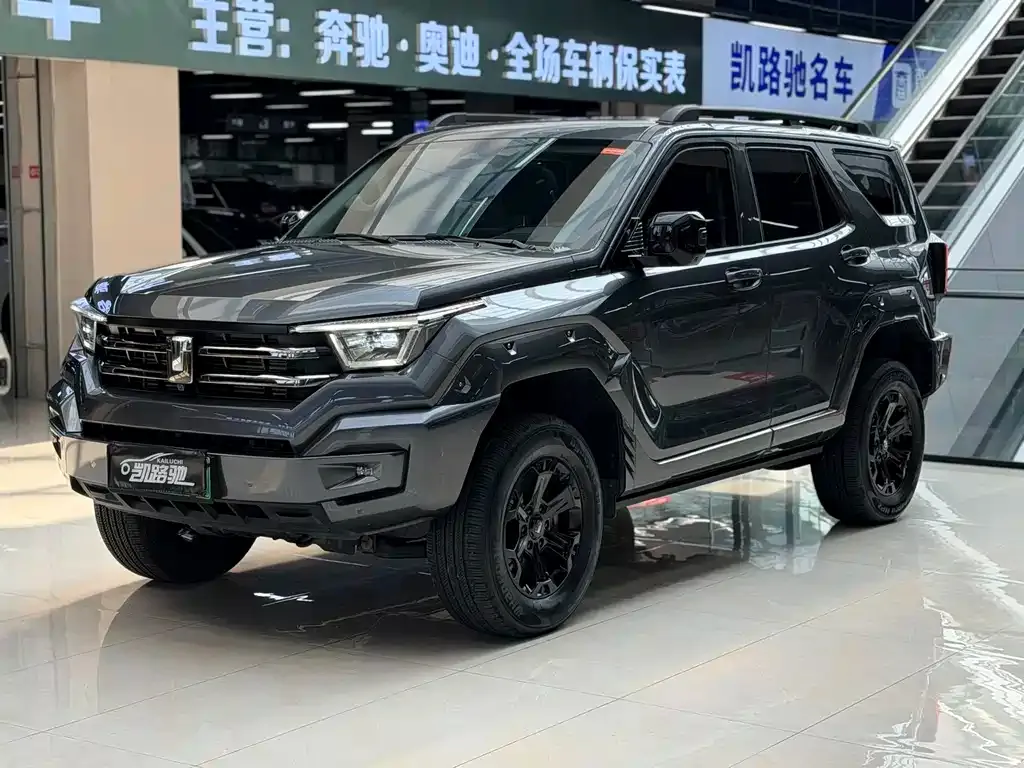 Tank 400 New Energy 2024 из CN, фото 1