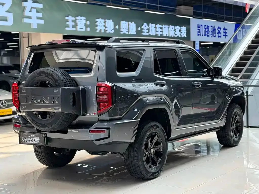 Tank 400 New Energy 2024 из CN, фото 9