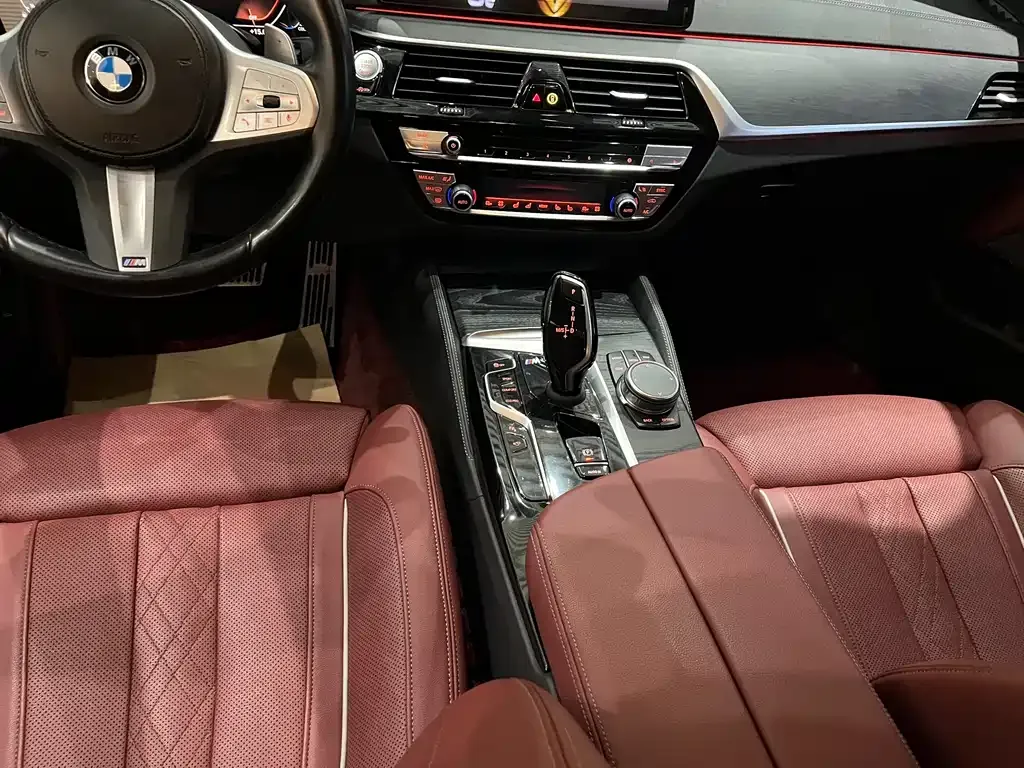 BMW 5 Series 2023 из CN, фото 5