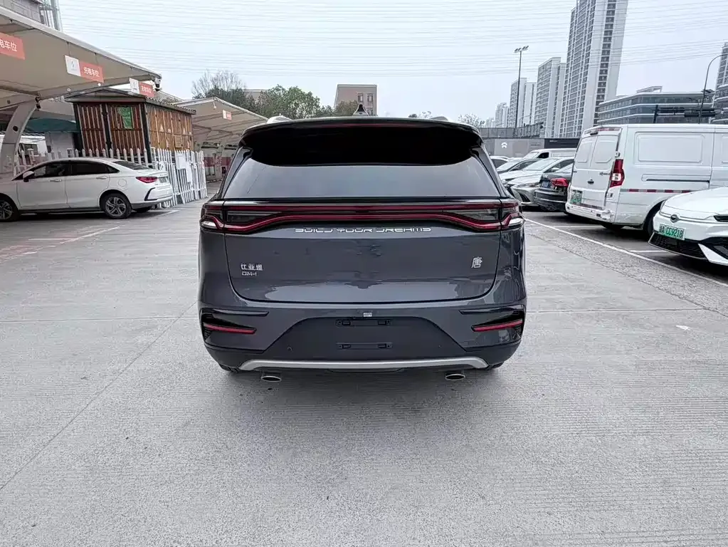 BYD Tang New Energy — фото 10