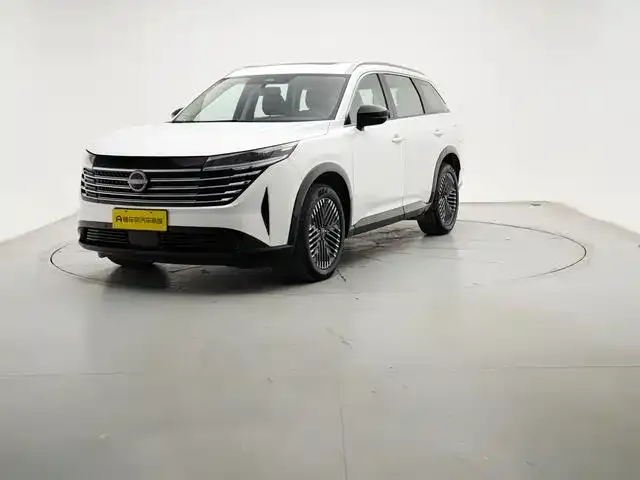 Nissan Teramont 2024 из CN, фото 1