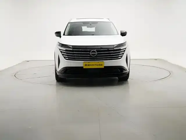 Nissan Teramont 2024 из CN, фото 4