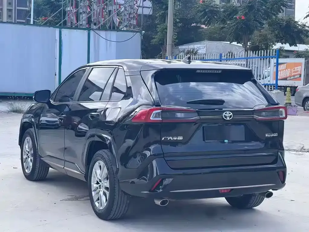 Toyota Wildlander 2024 из CN, фото 3