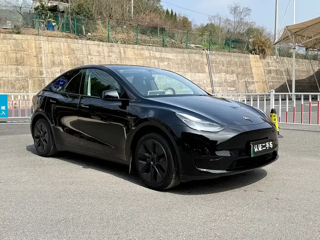 Tesla Model Y 2023 из CN, фото 5