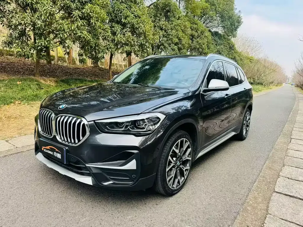 BMW X1 2021 из CN, фото 9