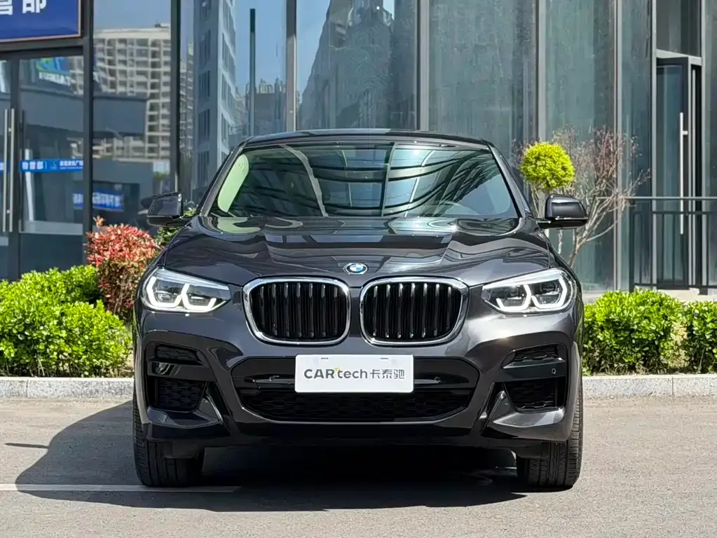 BMW X4 2021 из CN, фото 4
