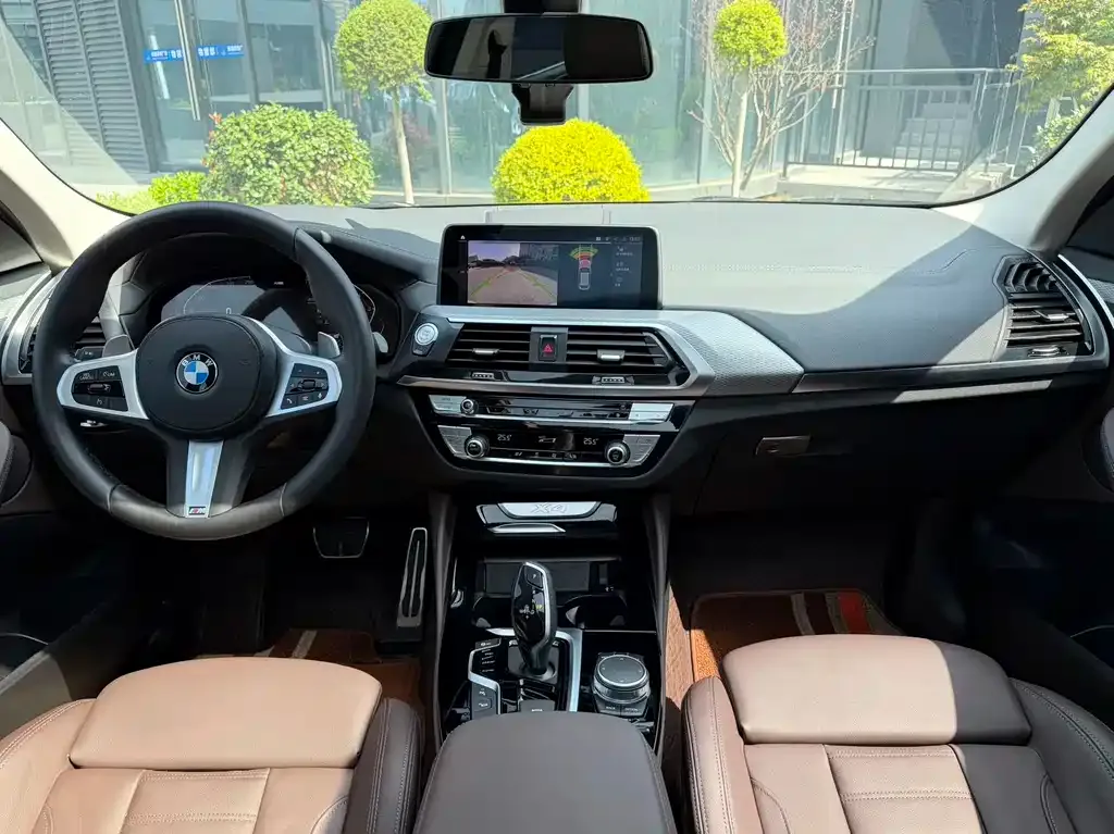 BMW X4 2021 из CN, фото 5