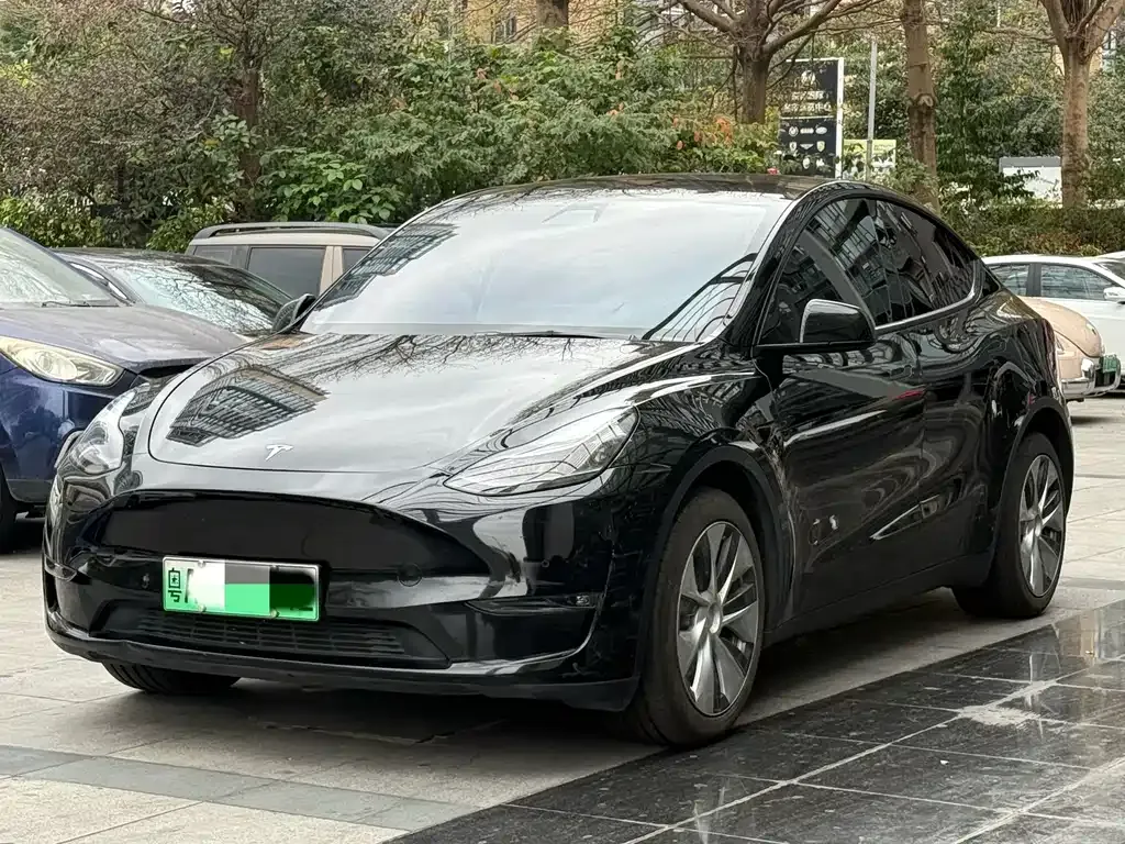Tesla Model Y 2021 из CN, фото 1