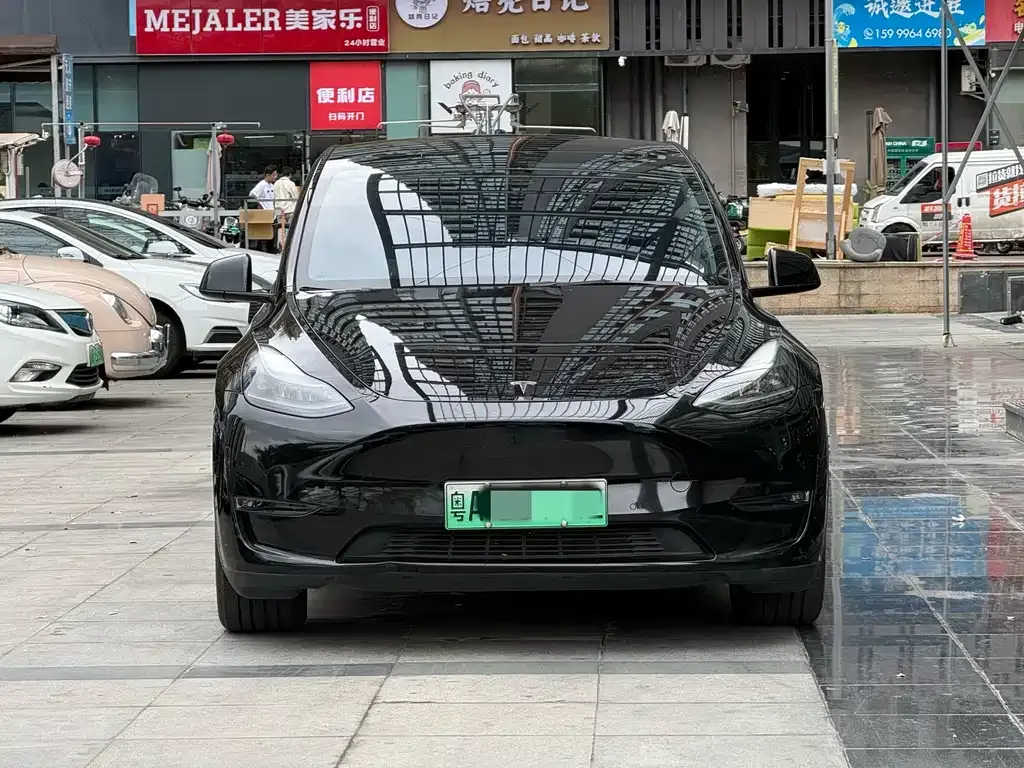 Tesla Model Y 2021 из CN, фото 7