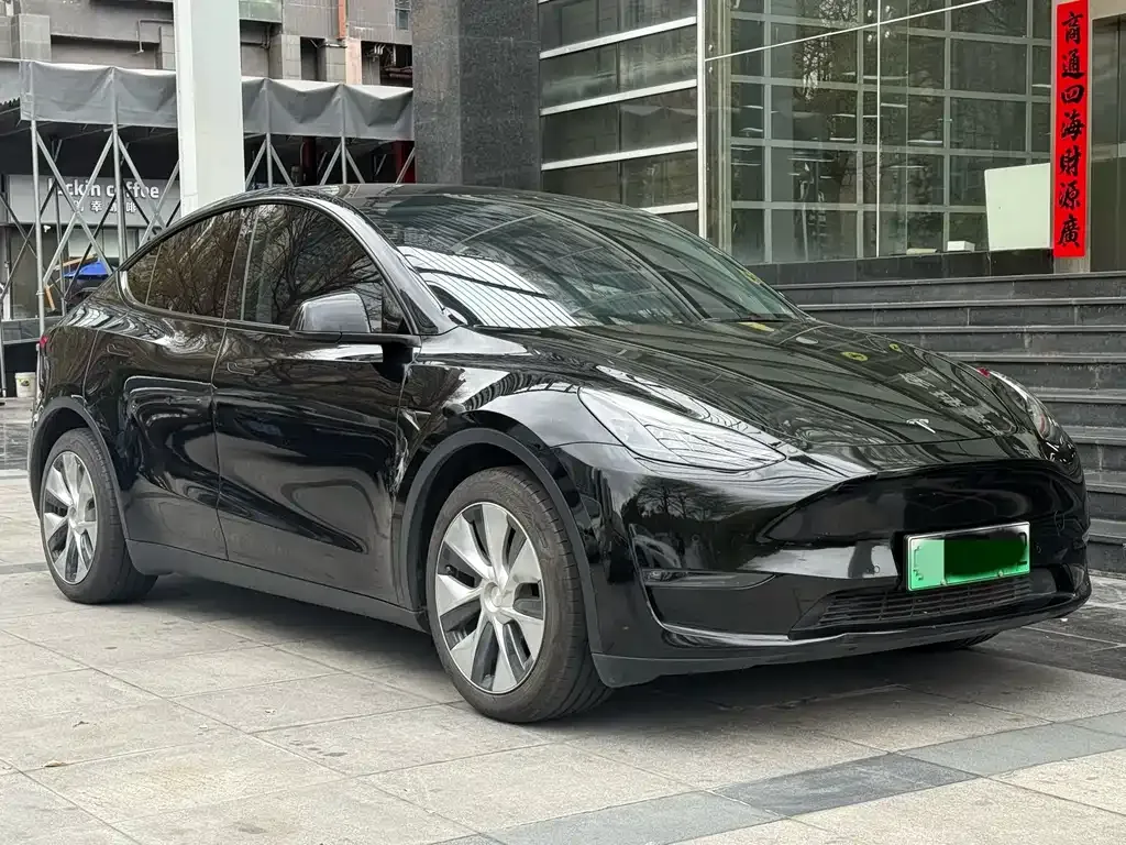 Tesla Model Y 2021 из CN, фото 6