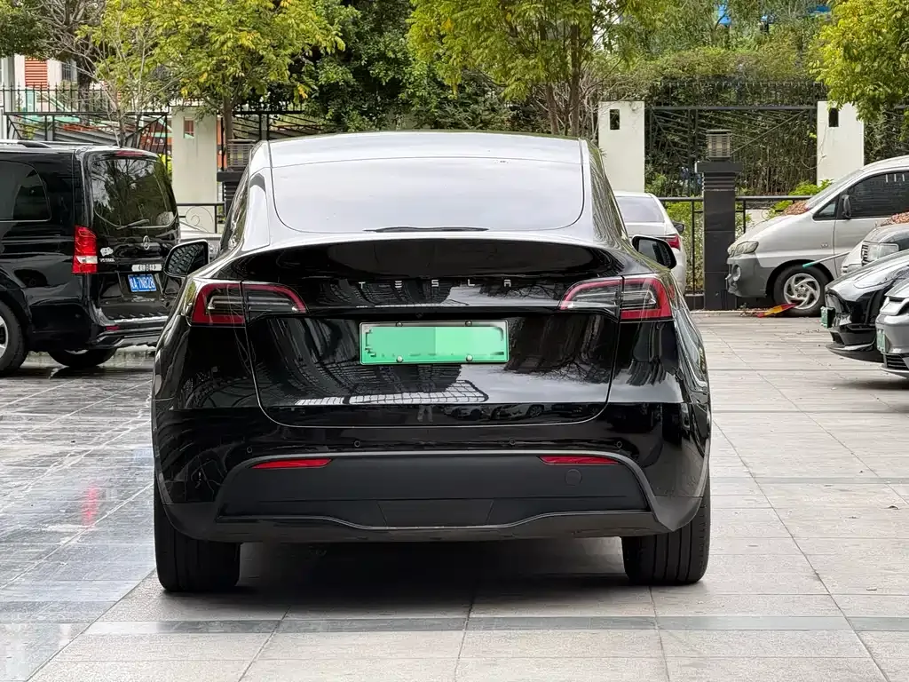Tesla Model Y 2021 из CN, фото 8