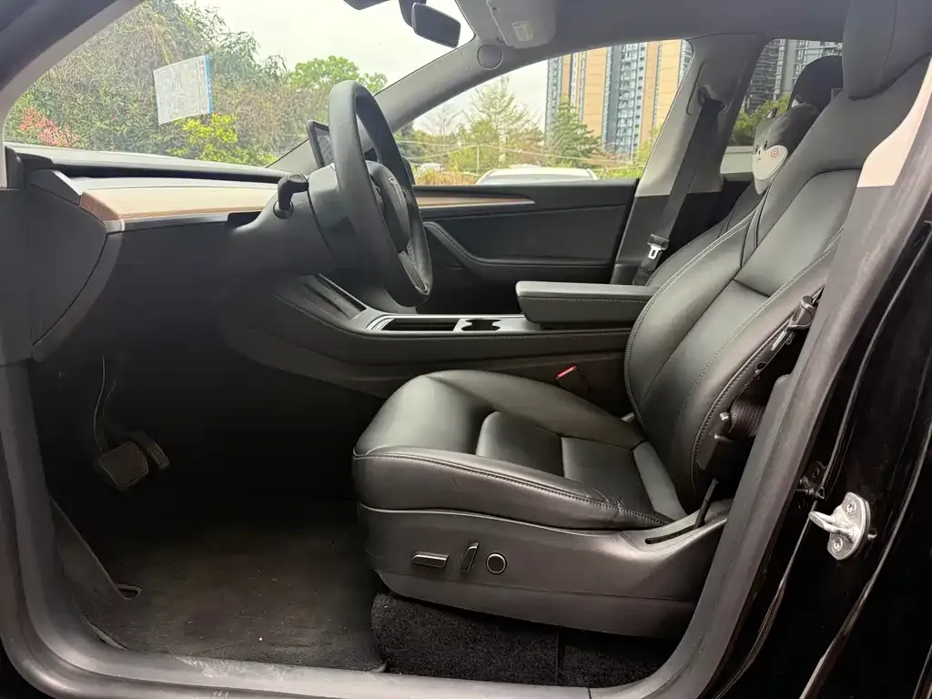 Tesla Model Y 2021 из CN, фото 3
