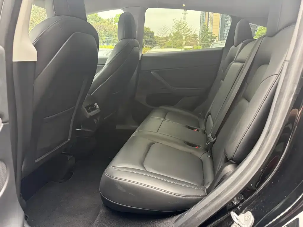 Tesla Model Y 2021 из CN, фото 4