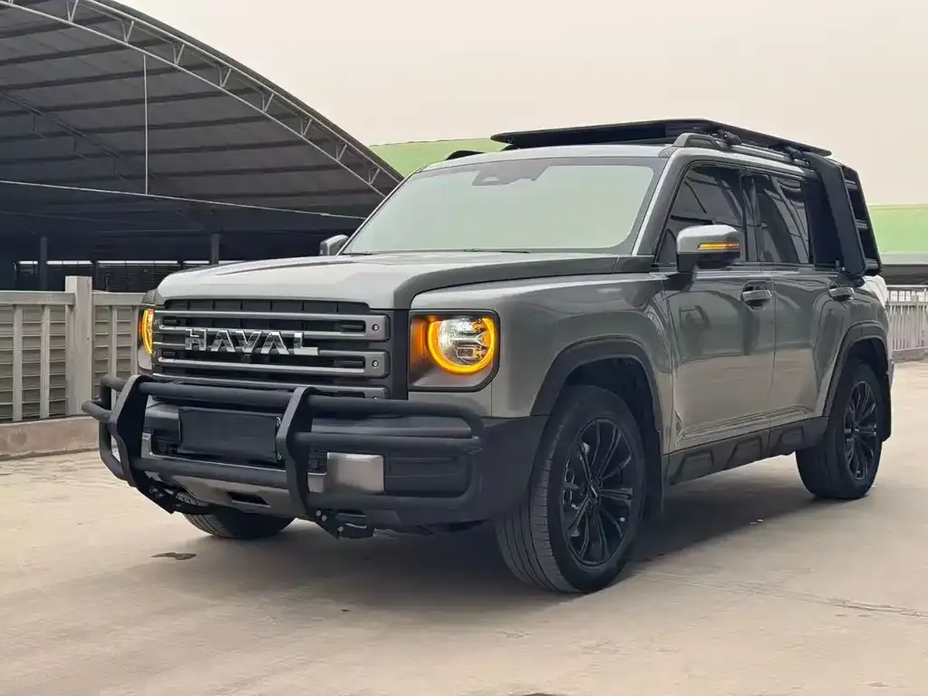 Haval Menglong New Energy 2024 из CN, фото 1