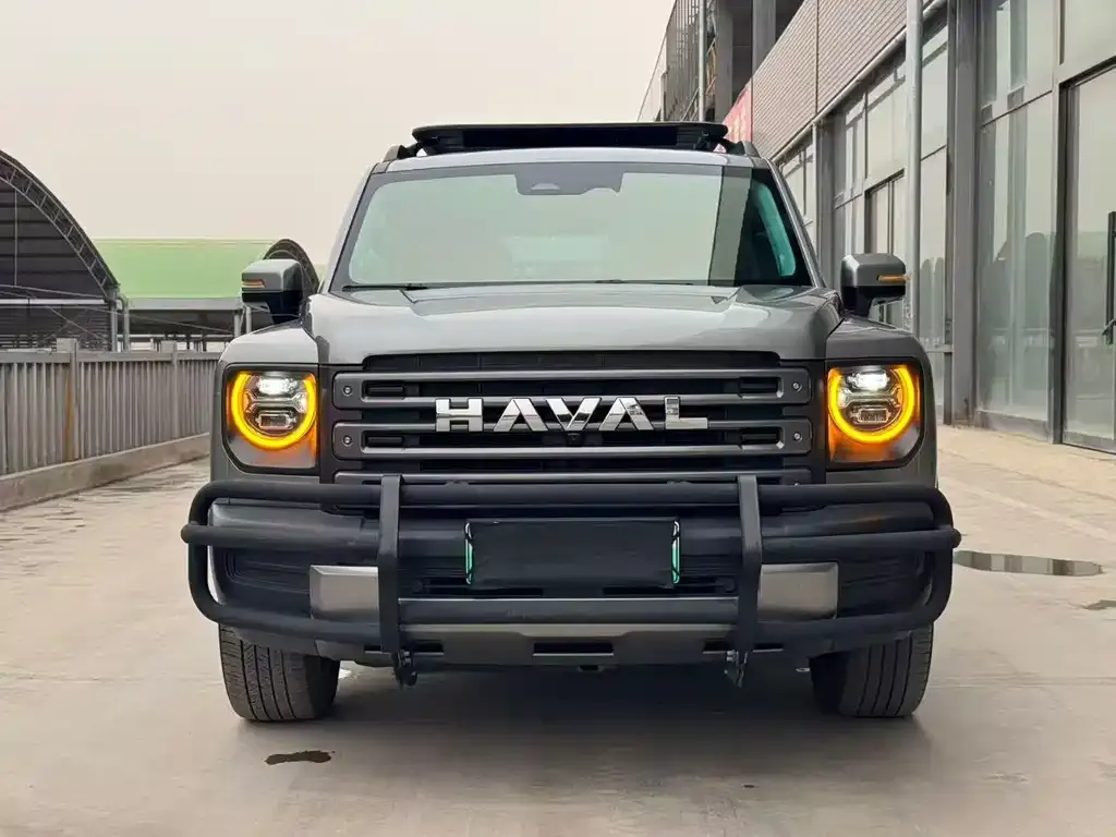 Haval Menglong New Energy 2024 из CN, фото 10