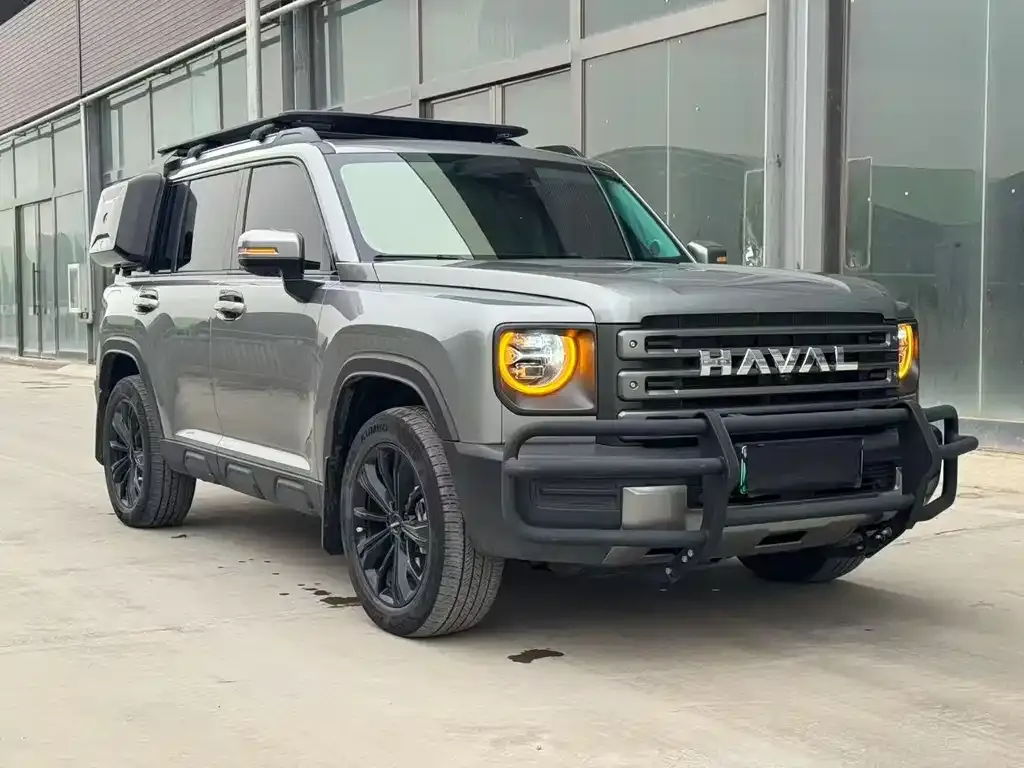 Haval Menglong New Energy 2024 из CN, фото 2