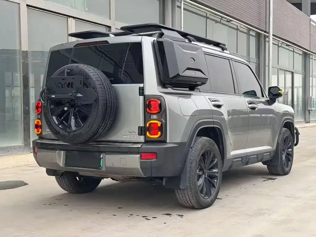 Haval Menglong New Energy 2024 из CN, фото 9