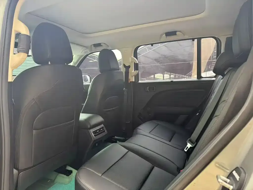 Haval Menglong New Energy 2024 из CN, фото 3