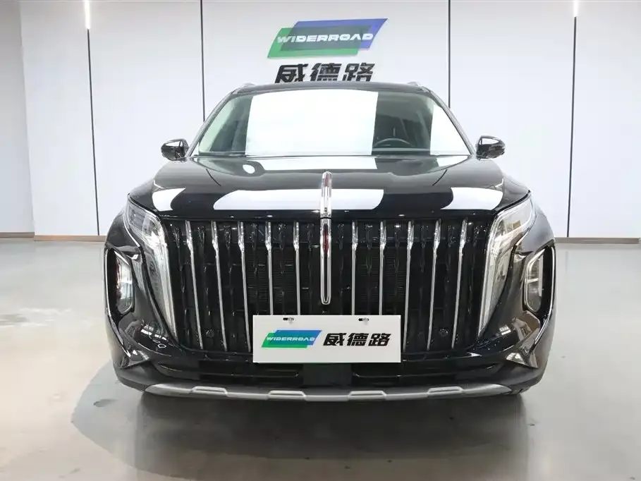 Hongqi HS7 PHEV 2024 из CN, фото 6