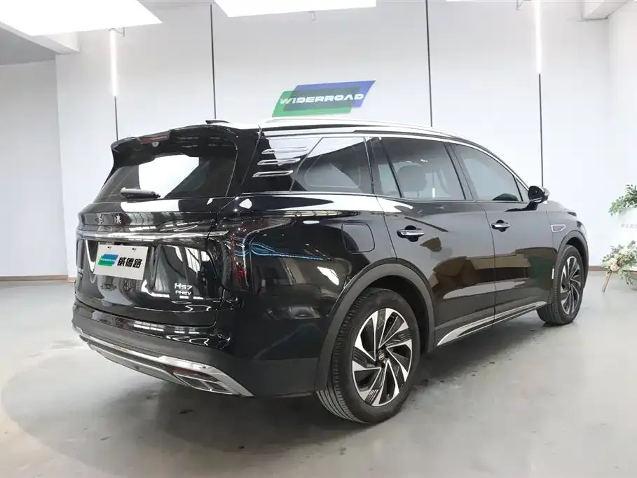 Hongqi HS7 PHEV 2024 из CN, фото 7