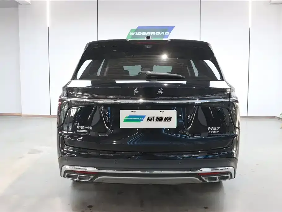 Hongqi HS7 PHEV 2024 из CN, фото 10