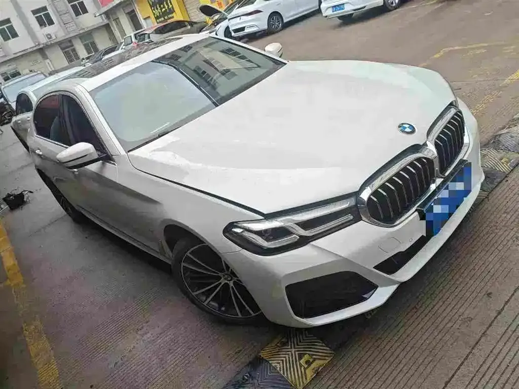 BMW 5 Series 2021 из CN, фото 8