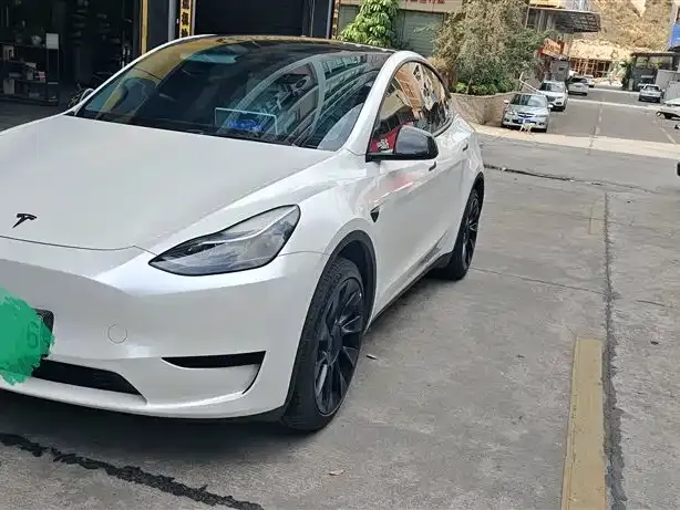 Tesla Model Y — фото 1