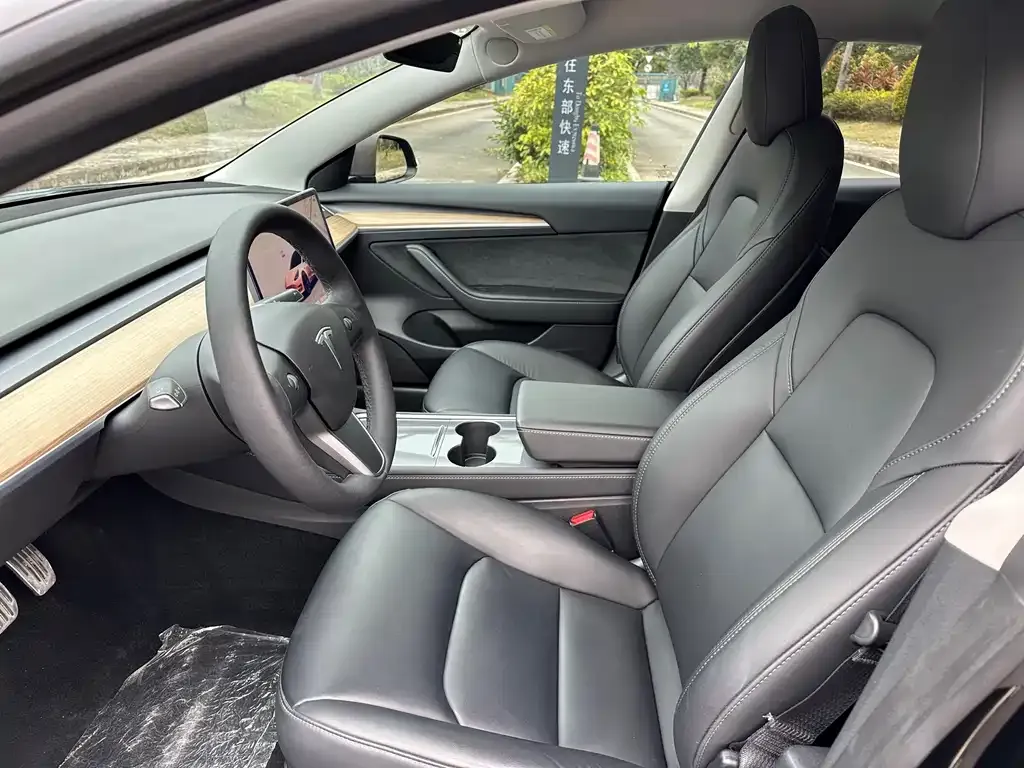 Tesla Model 3 2022 из CN, фото 3