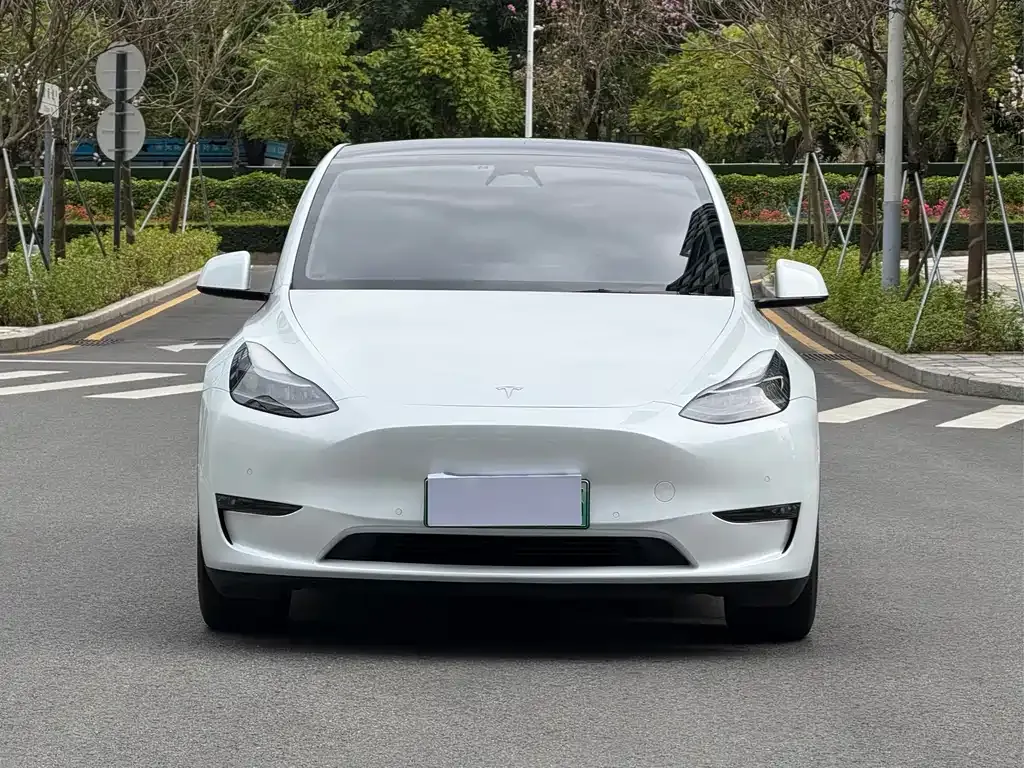 Tesla Model Y — фото 9