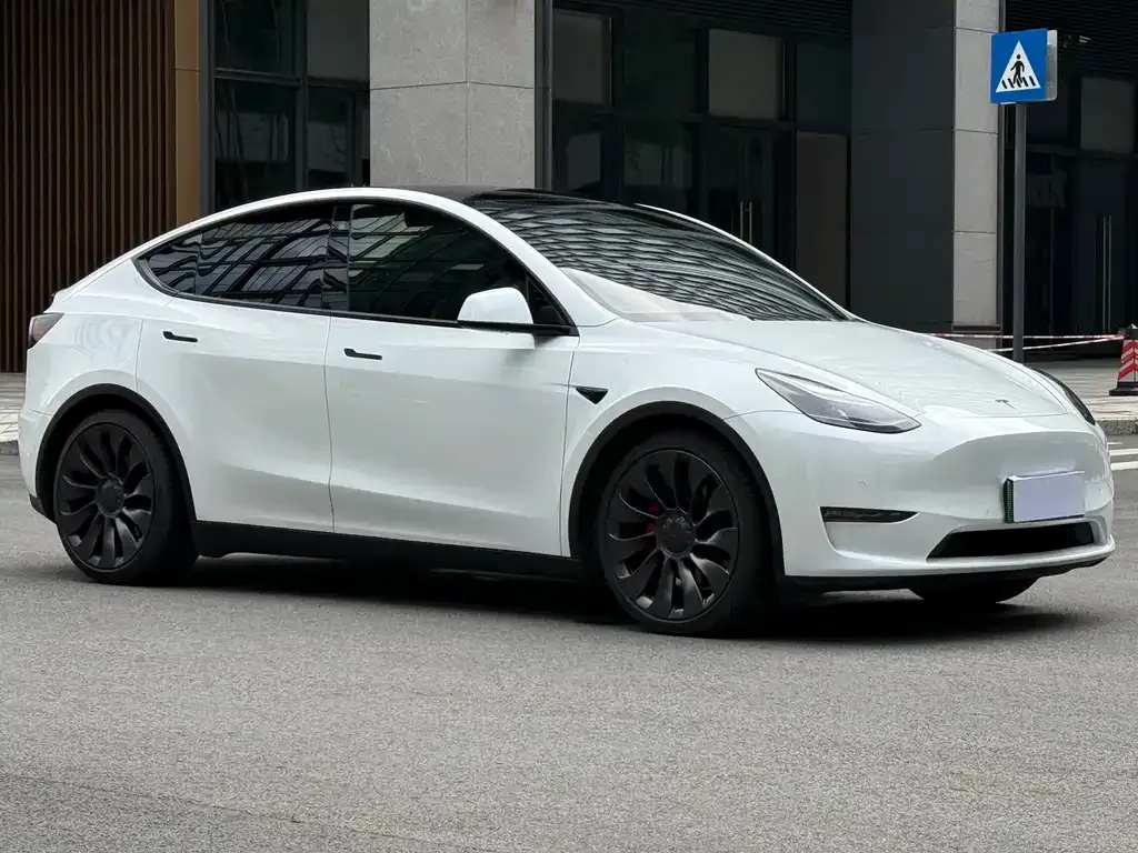 Tesla Model Y — фото 10