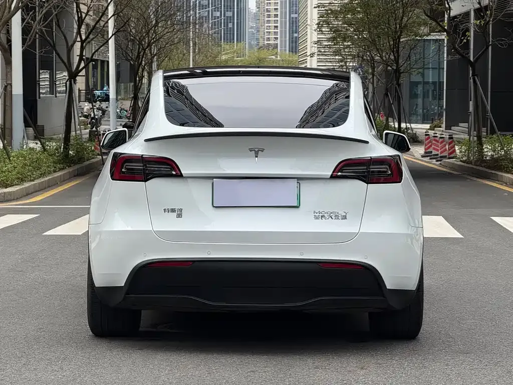 Tesla Model Y — фото 6