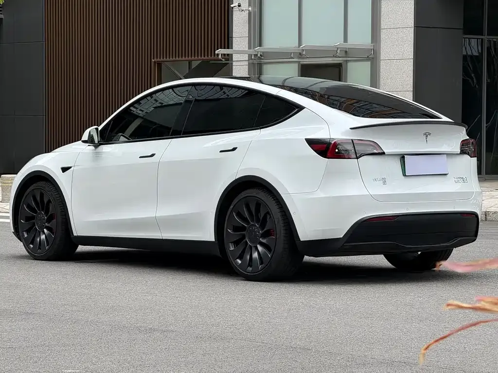 Tesla Model Y — фото 3