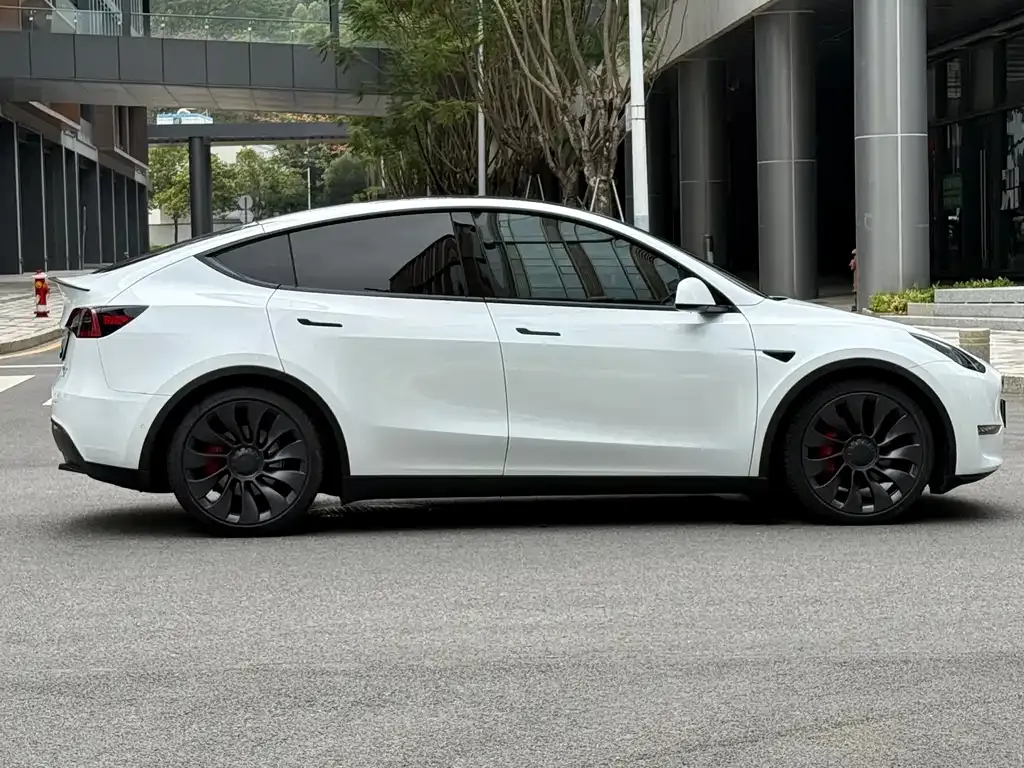 Tesla Model Y — фото 7
