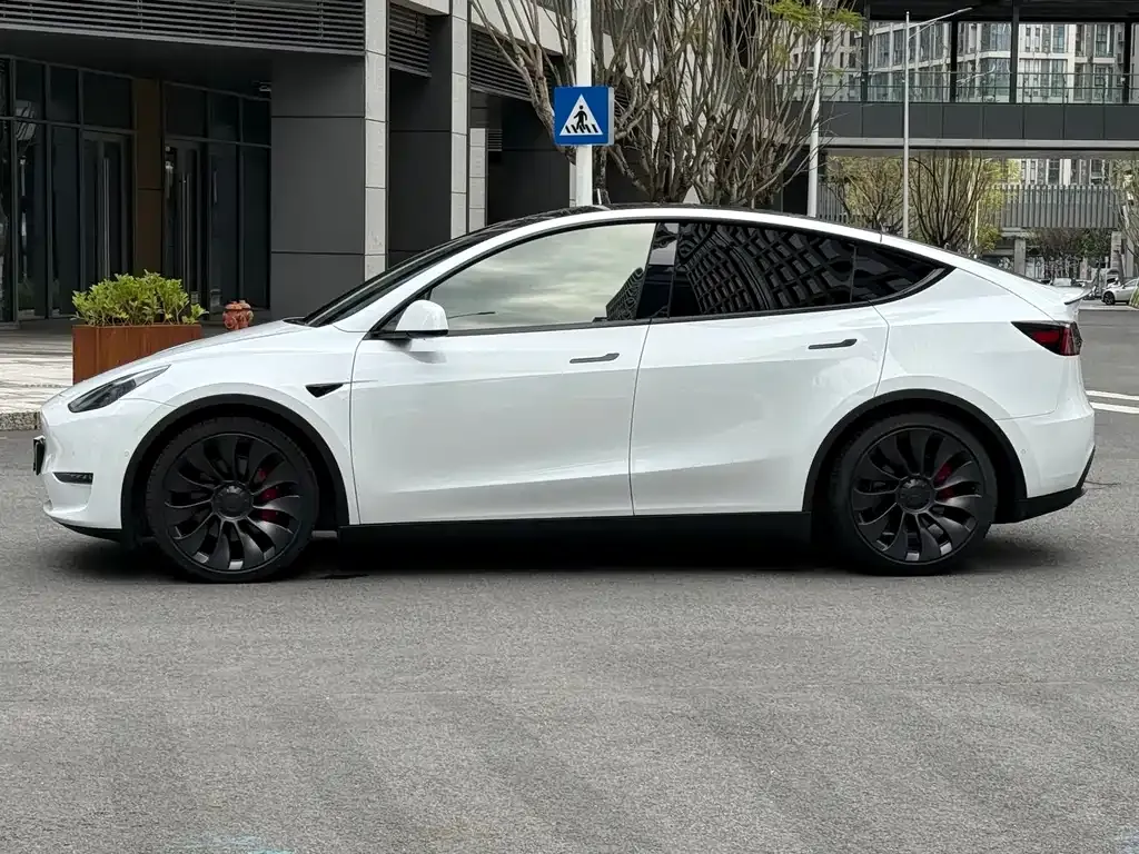 Tesla Model Y — фото 8