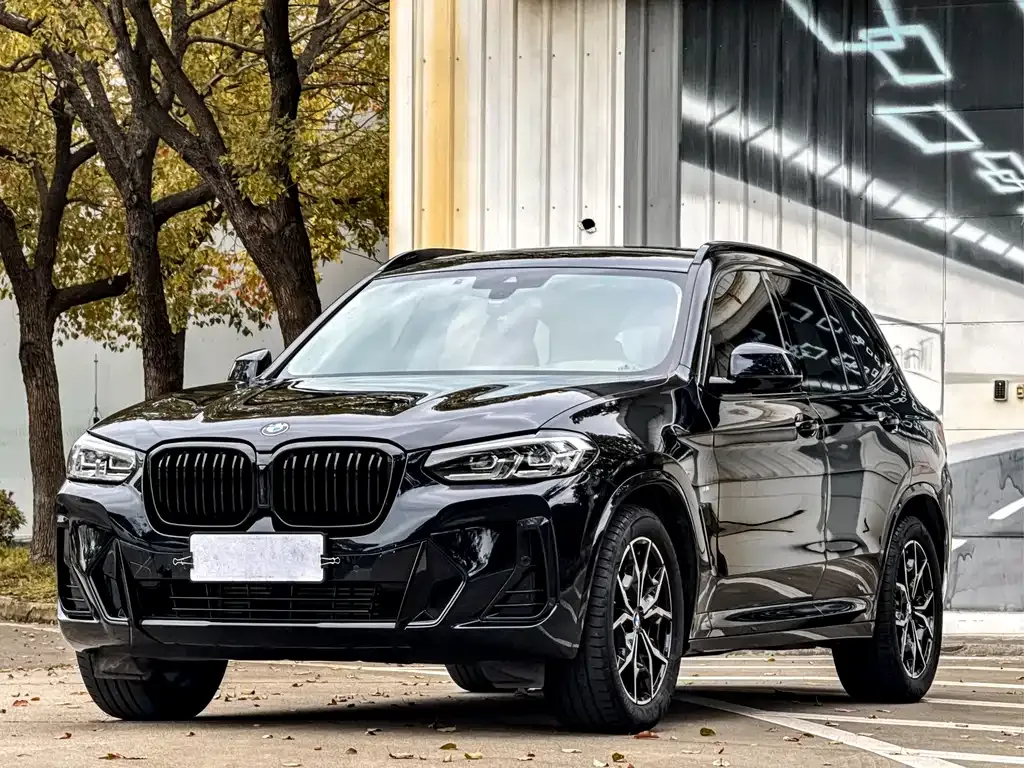 BMW X3 — фото 1