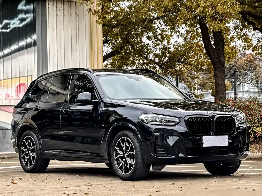 BMW X3 — фото 9
