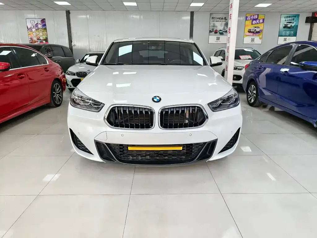 BMW X2 2021 из CN, фото 4