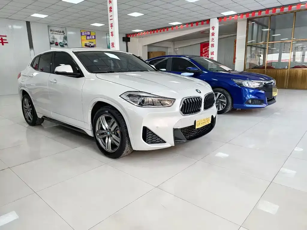 BMW X2 2021 из CN, фото 3