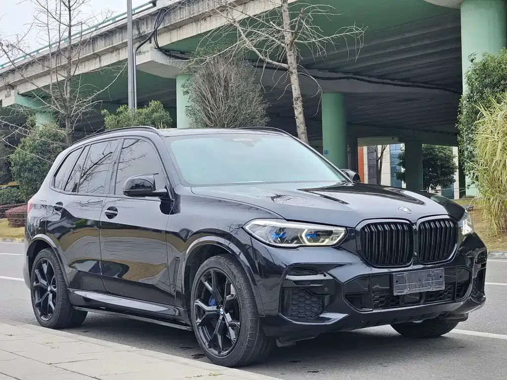 BMW X5 (Import) 2022 из CN, фото 9