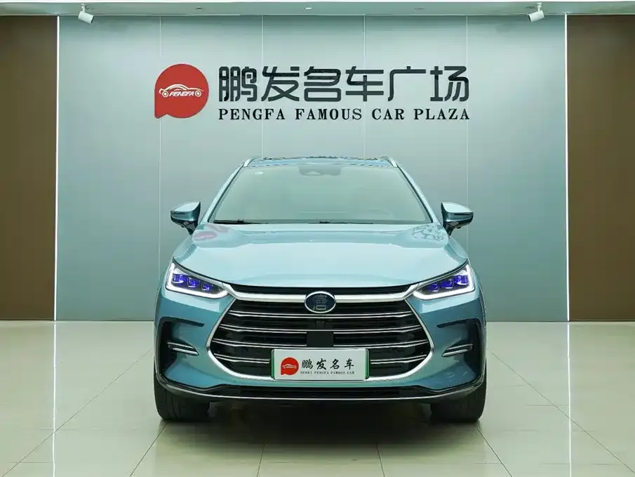 BYD Tang New Energy — фото 2
